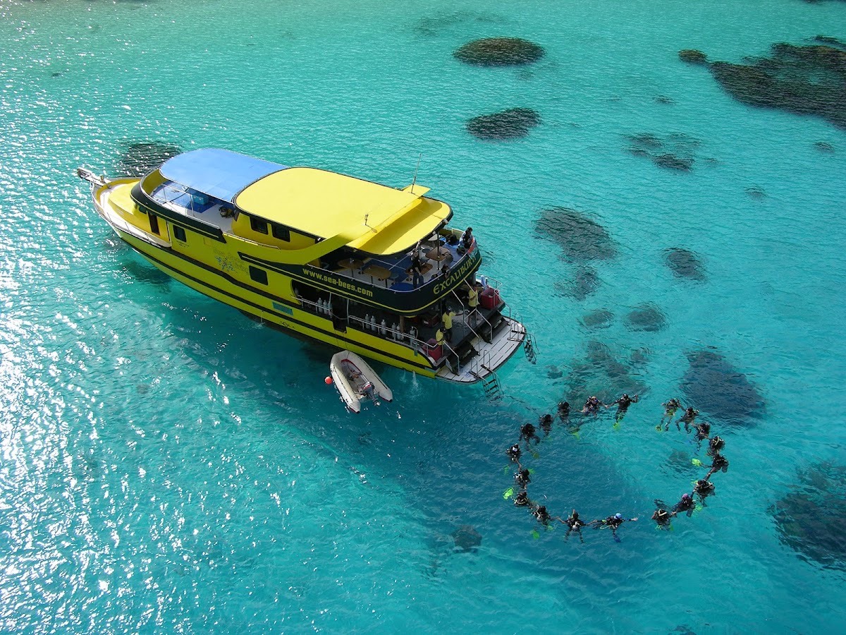 Sea Bees Diving - Phuket — Phuket