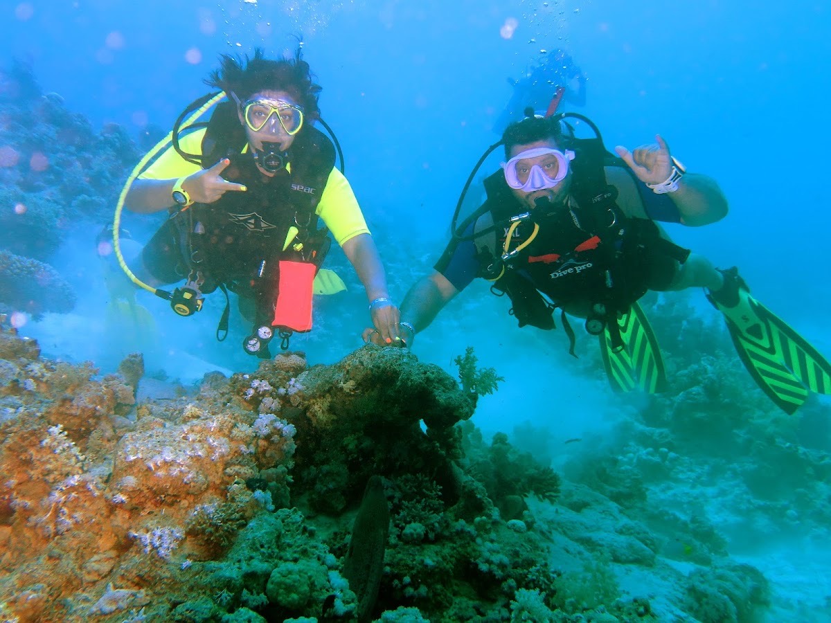 Sea Life Sharm Diving Center — Sharm El Sheikh