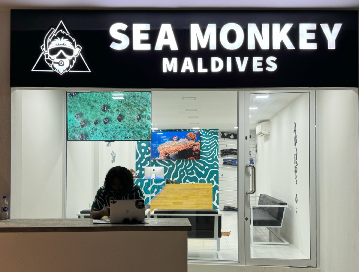 Seamonkey Maldives — Maafushi
