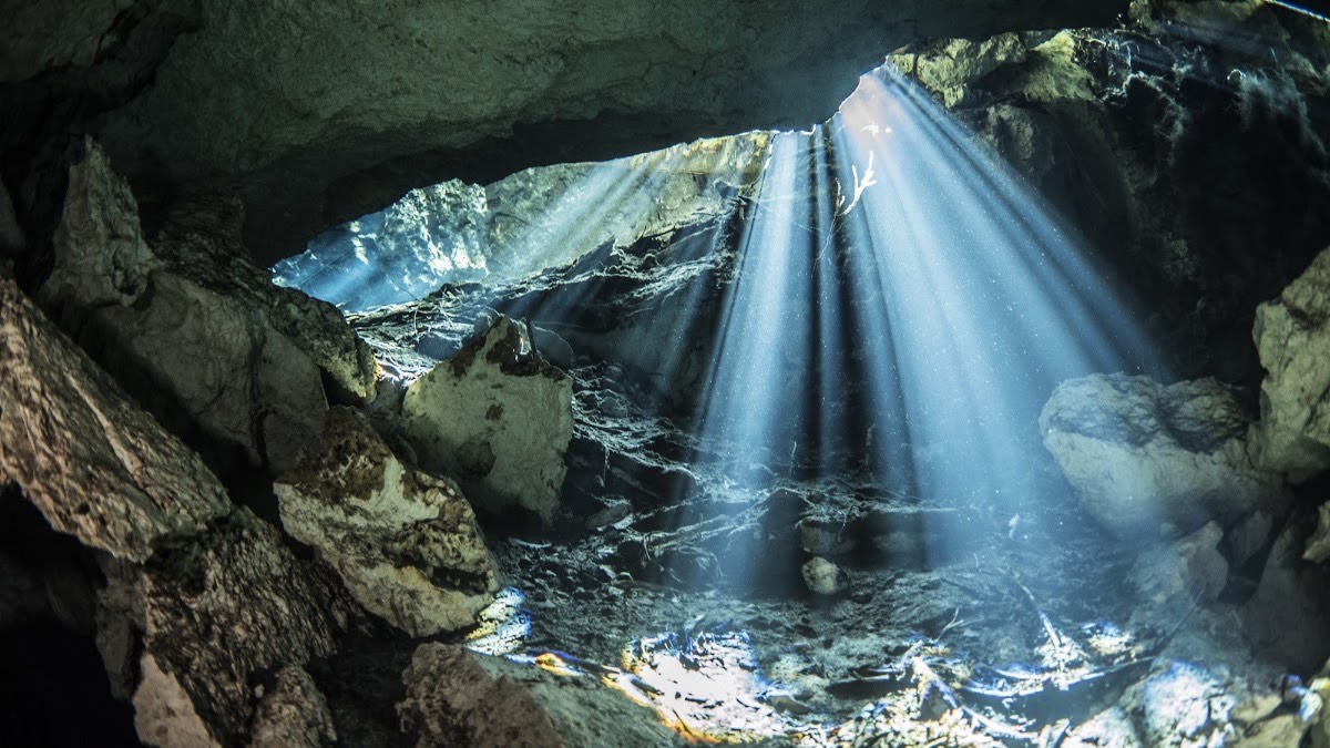 THE CENOTE GUY - CENOTE DIVING — Playa del Carmen