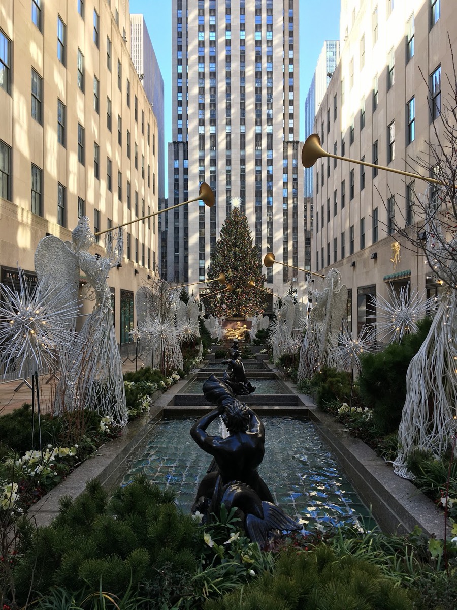 The Channel Gardens