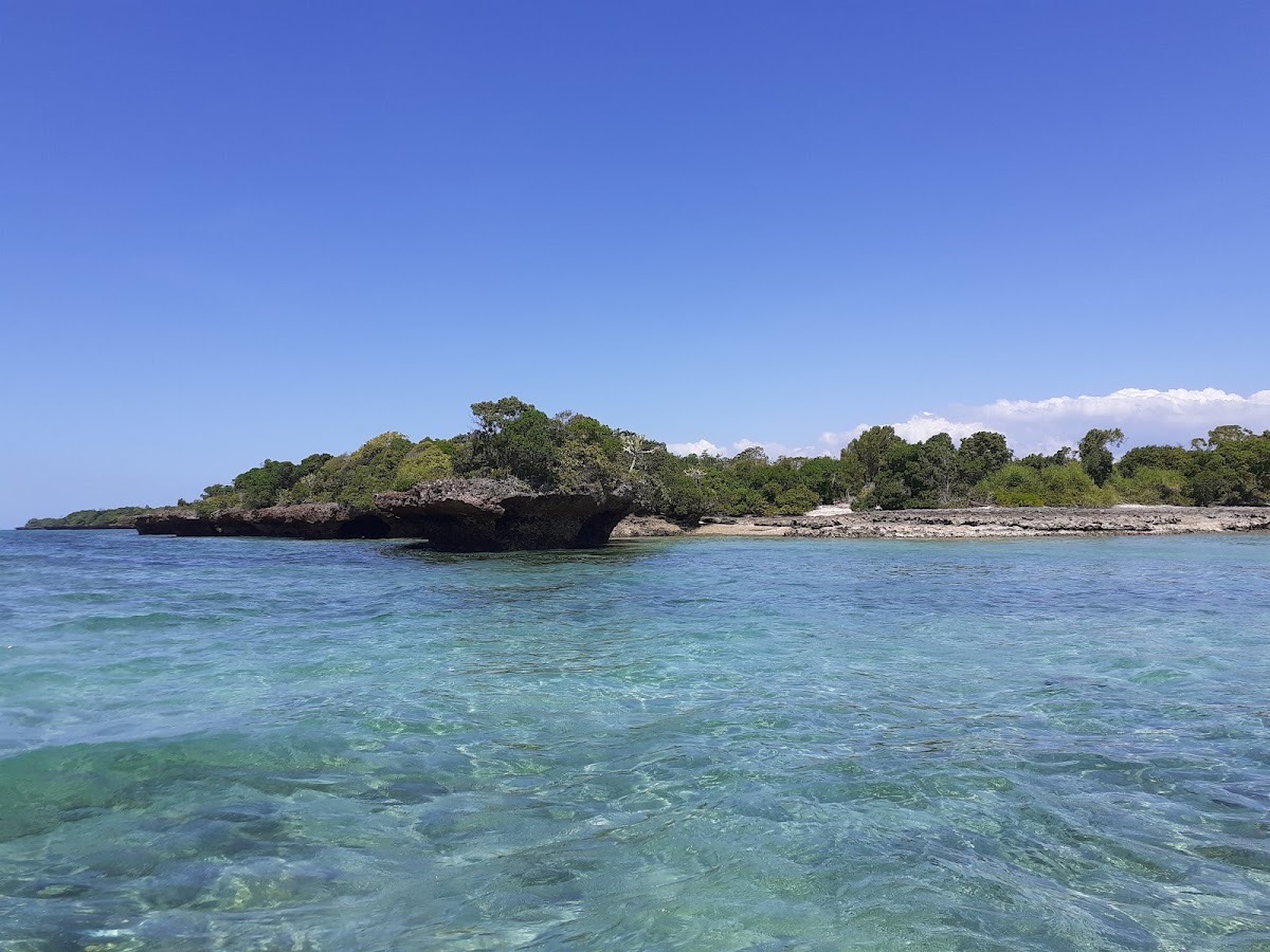 The Safari Blue, Zanzibar