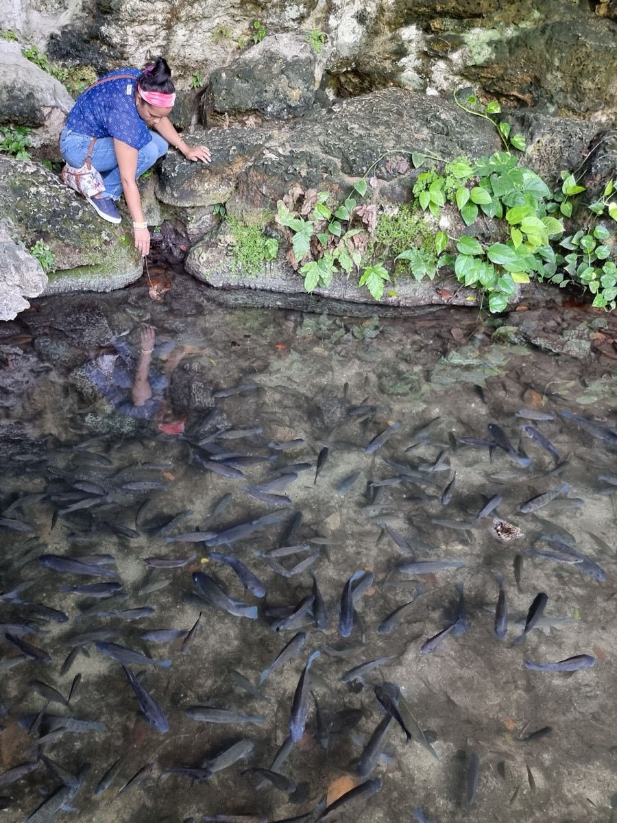 The Three Eyes National Park — Santo Domingo