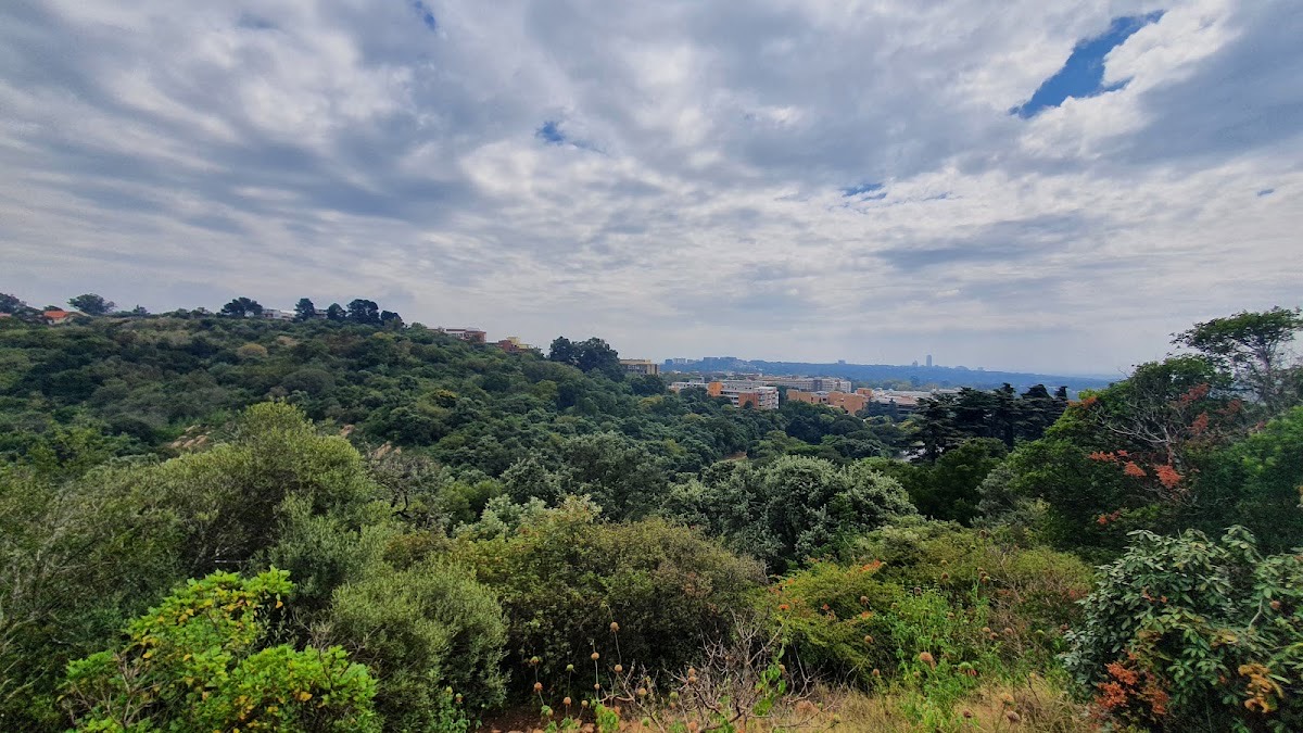 The Wilds Nature Reserve — Johannesburg