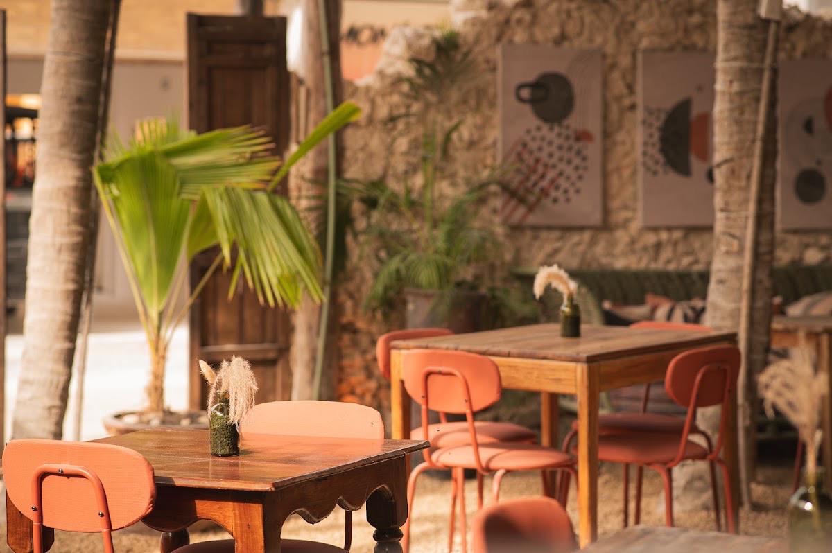 Tierrasal - Leña y Fuego — Holbox