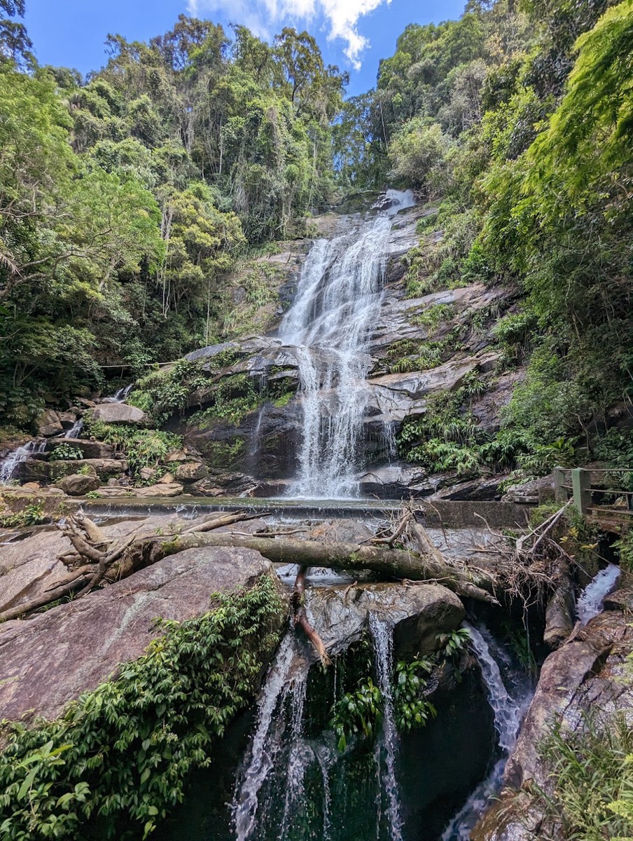 Tijuca National Park — Rio de Janeiro