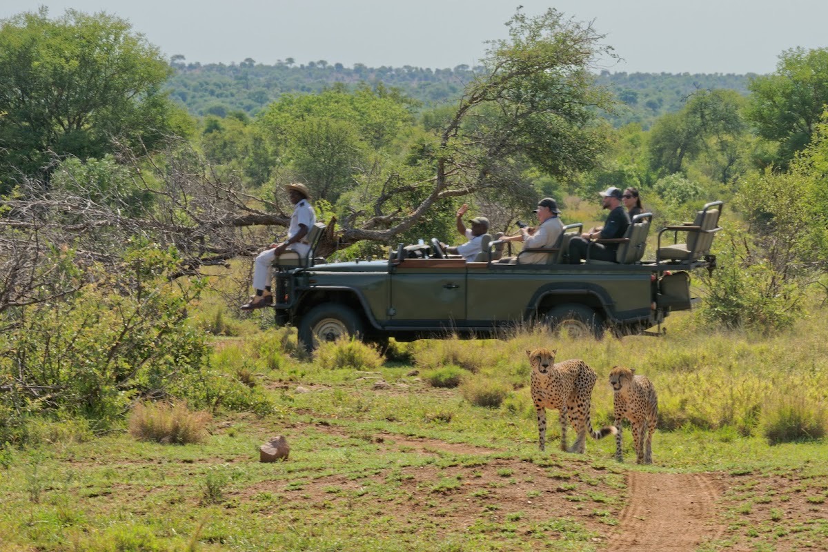 Timbavati Private Nature Reserve — Krüger-Nationalpark