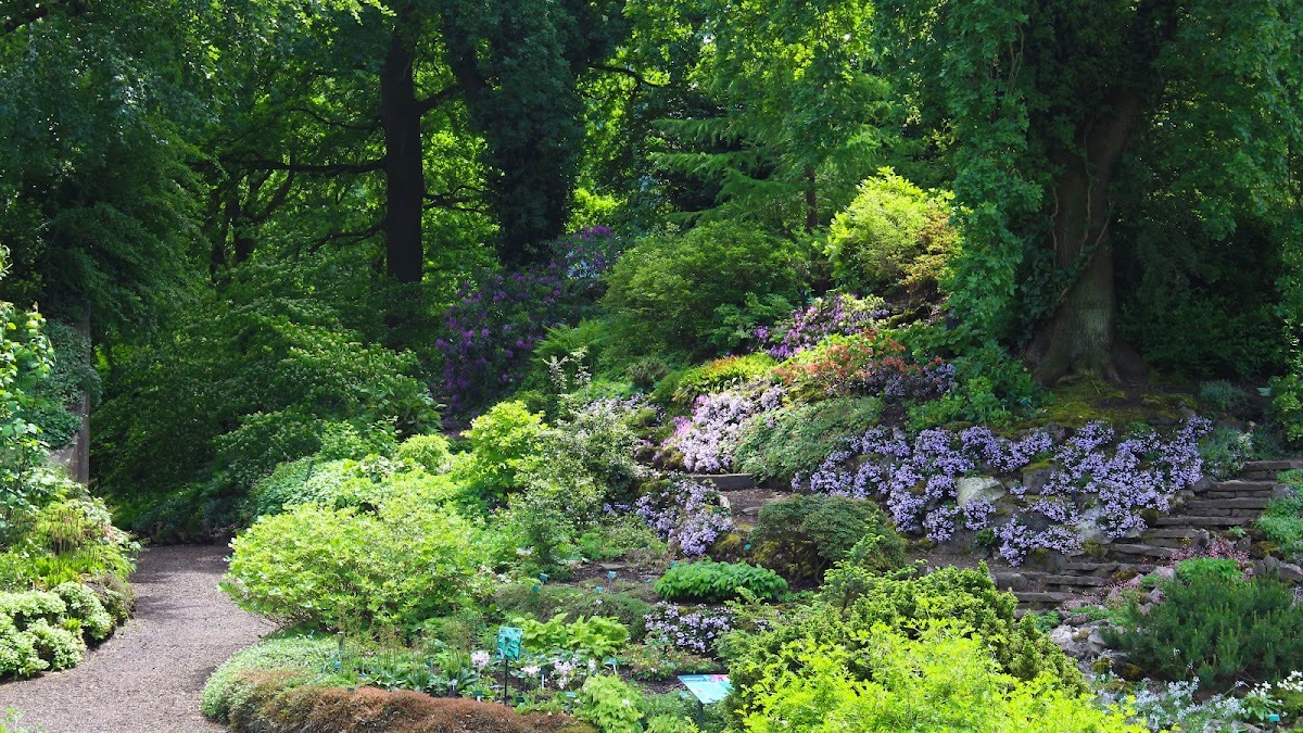 Utrecht Botanic Gardens — Utrecht