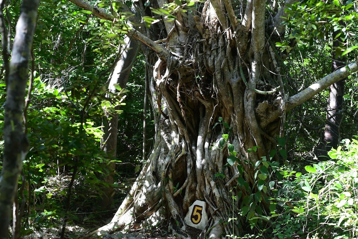 Varahicacos Ecological Reserve — Varadero