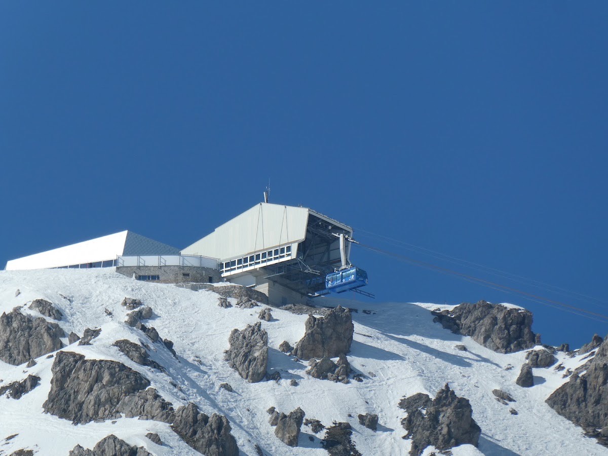 Weisshorn Bear — Arosa