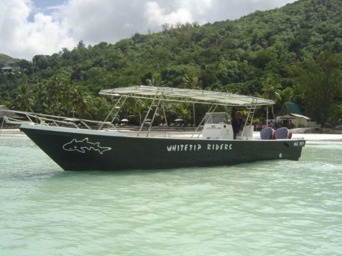 Whitetip Divers — Praslin
