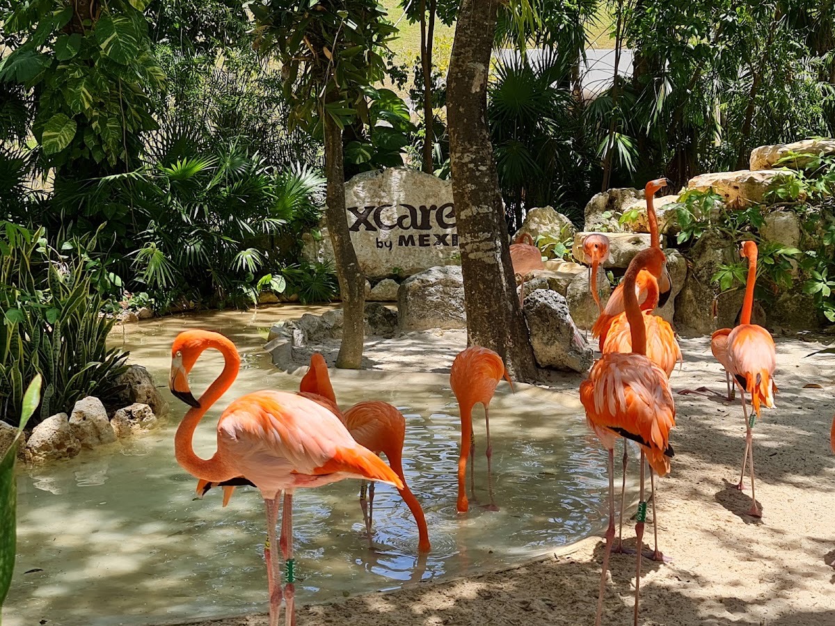 Xcaret Park — Cancun