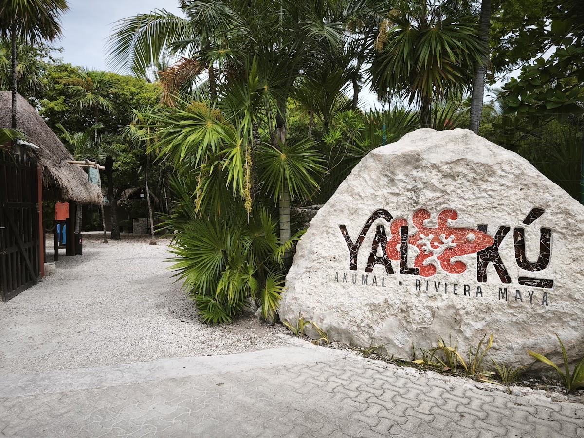 Yal Kú Akumal Riviera Maya