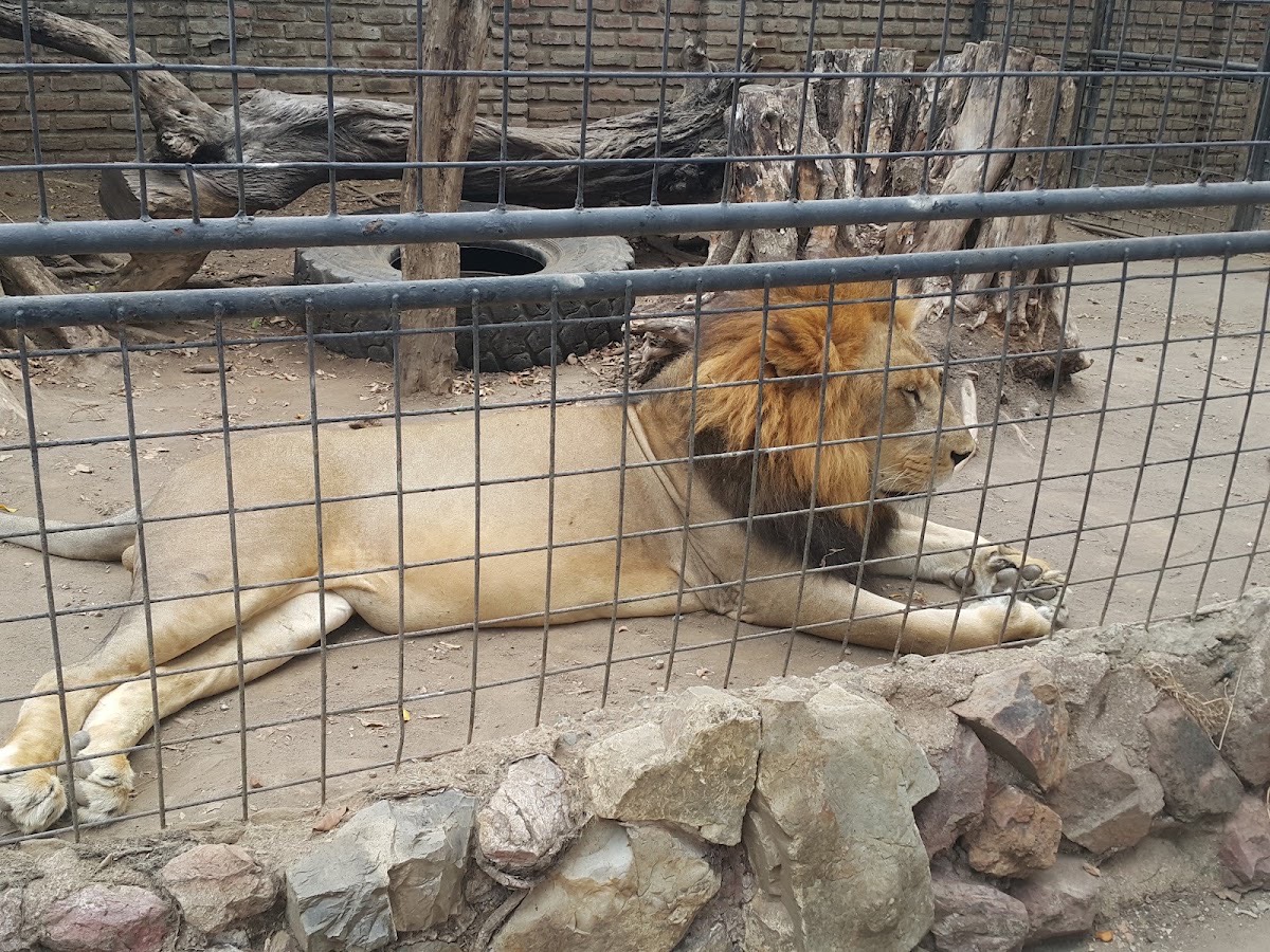 Zoo el Pantanal — Guayaquil