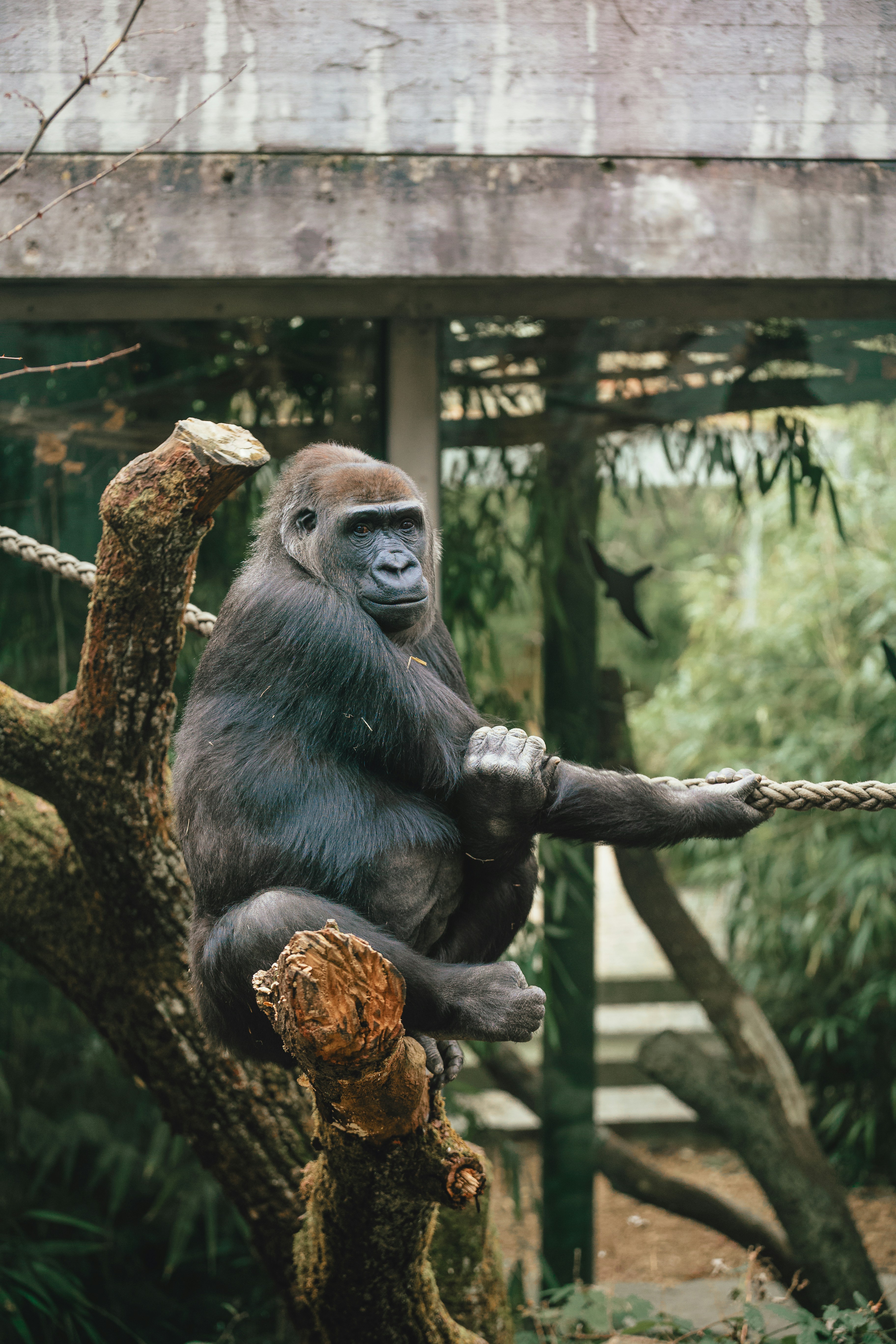 Zürich Zoo Endecken mit uns!