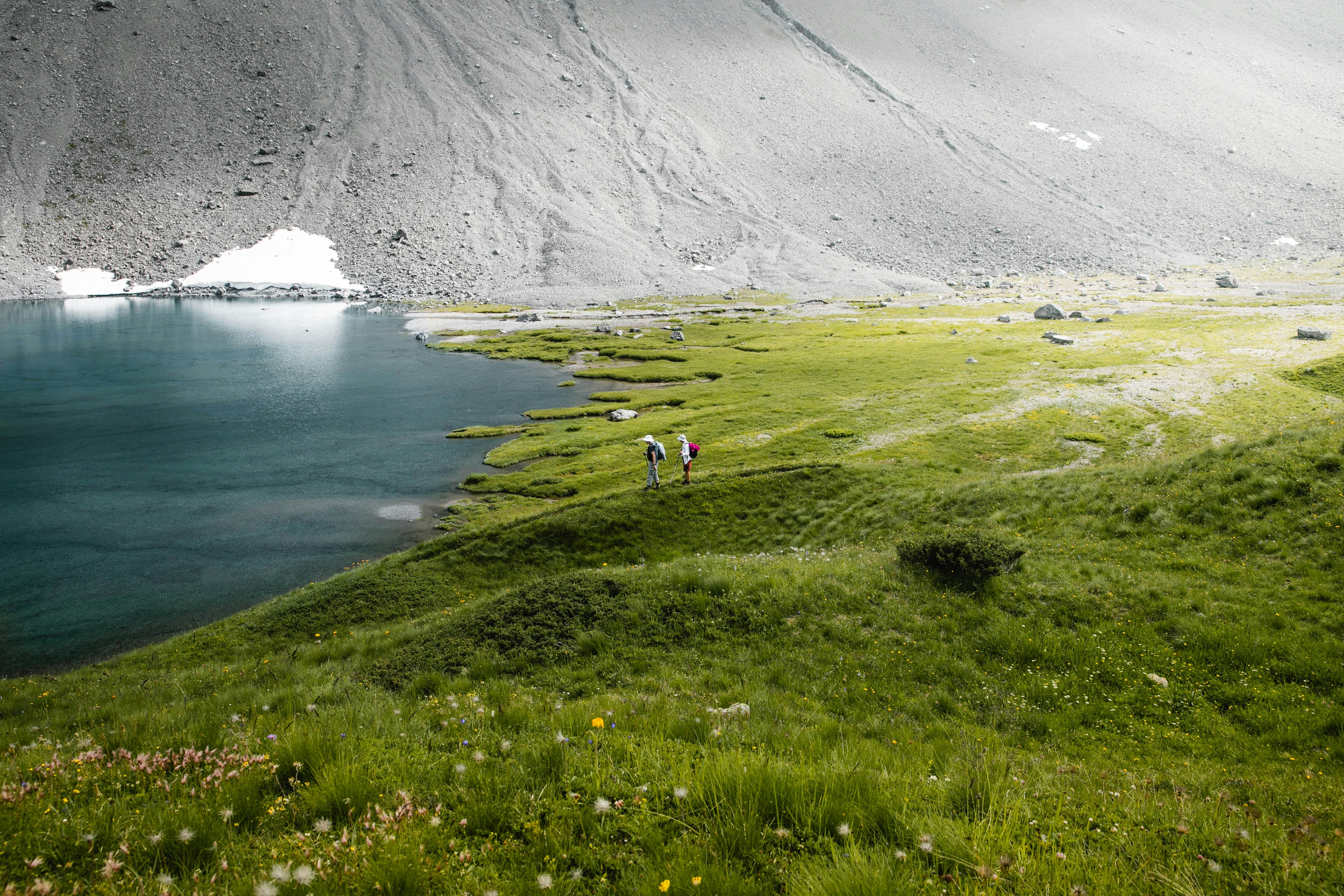 Arosa